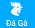 gnbet